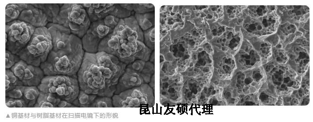 抚州蔡司抚州扫描电镜